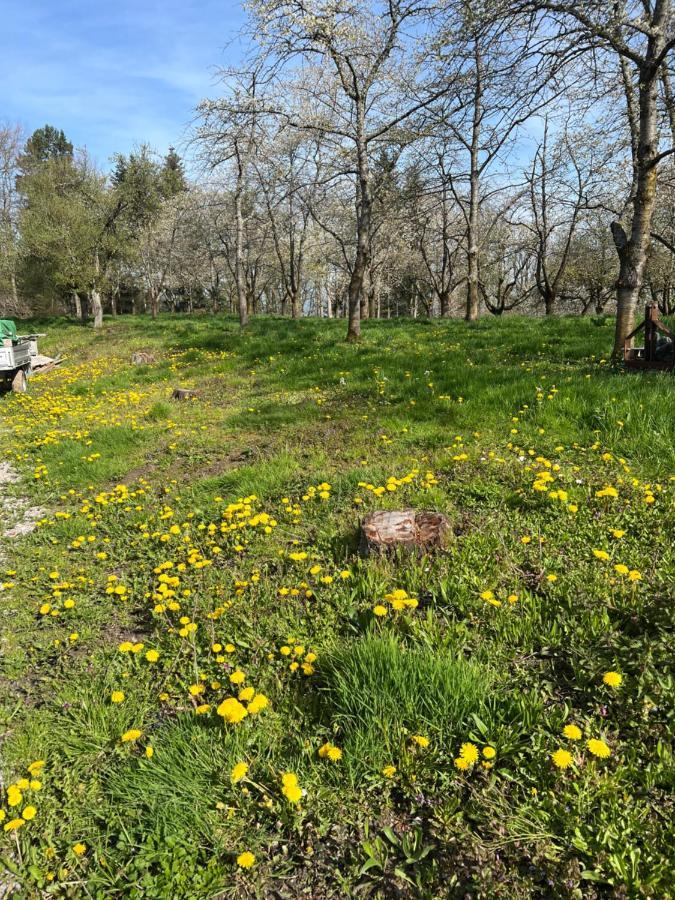 S'Laehmes Auf Der Schwend Villa Kappelrodeck Eksteriør bilde